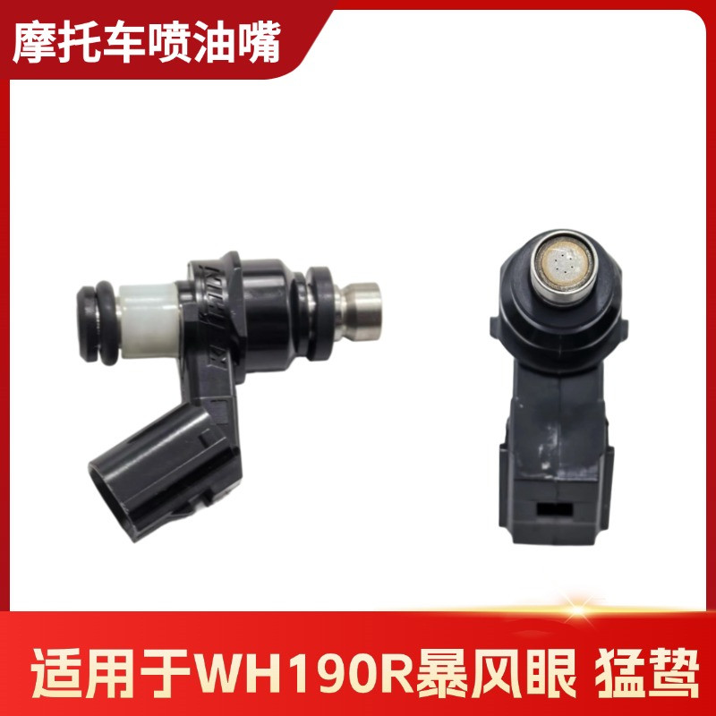 适用于WH190R暴风眼猛鸷喷油嘴