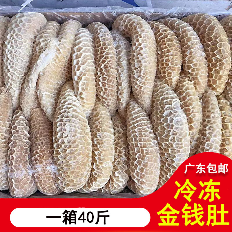 新鲜冷冻金钱肚生冷水发牛肚蜂窝牛肚免处理串串烧烤食材1箱40斤