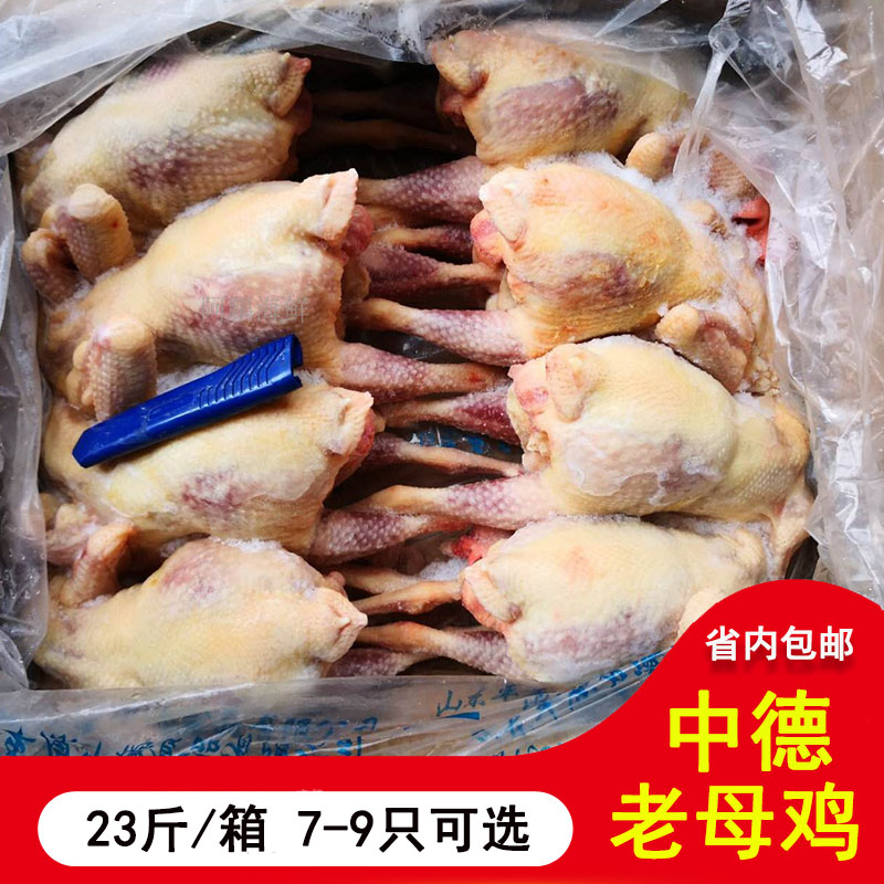 中德源老鸡 土鸡 光鸡整鸡 老母鸡 冰鲜鸡冷冻鸡 1箱23斤8只