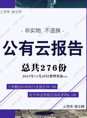 2025公有云行业报告企业PaaS行业IaaS产业链市场数据分析报告素材