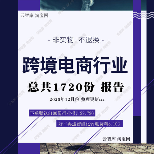 2025跨境电商市场研究报告跨境出口电商进口电商研究分析白皮合集