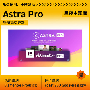 Astra PRO主题Wordpress主题免激活WP高级模板不限站点 永久使用