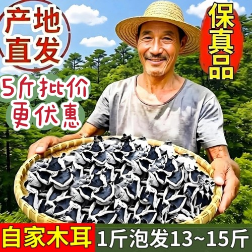 东北黑木耳干货500g木耳干货商用小碗耳干木耳无根肉厚大朵秋木耳