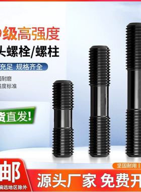 10.9级双头螺栓螺母套装高强度两头螺牙螺丝连接杆12M14M16M30M36