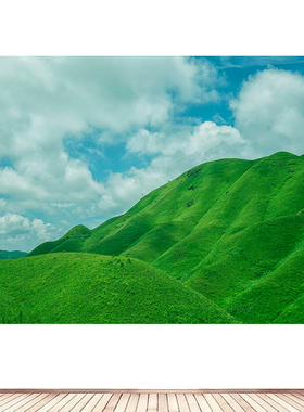简约现代群山山脉山峰地貌风景绿树大树靠山图卧室墙贴画自粘壁画