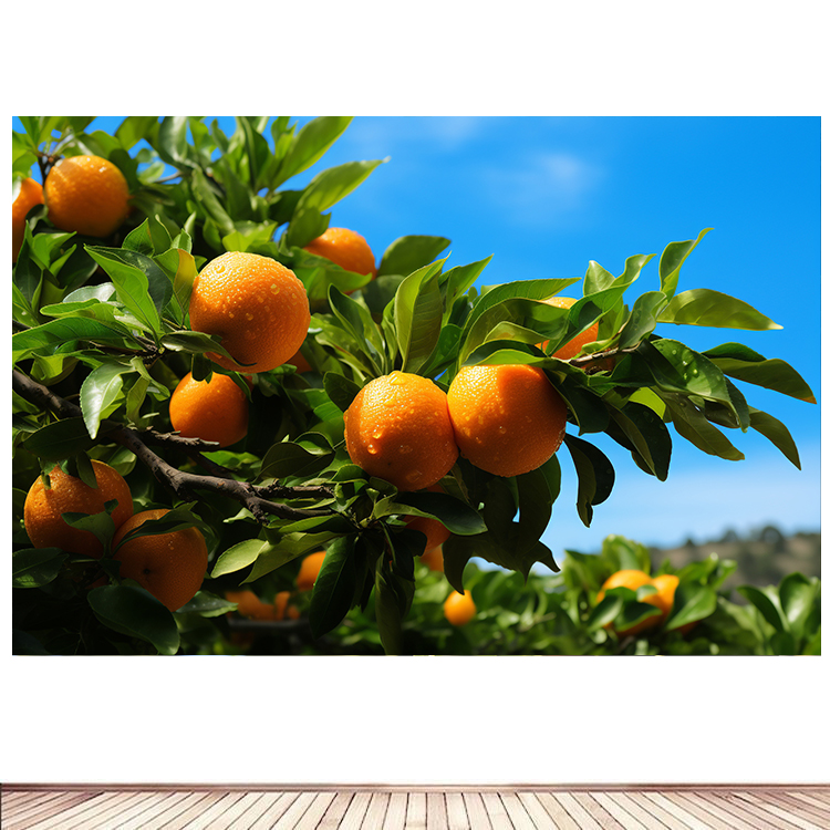 简约现代装饰贴画果园里水果橘子丰收海报定制餐厅背景墙贴画5图片