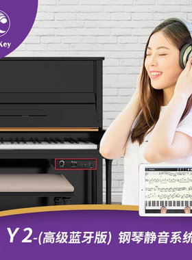 雅迪FreeKey静音系统立式钢琴可加装 消音止音一键切换 全国安装