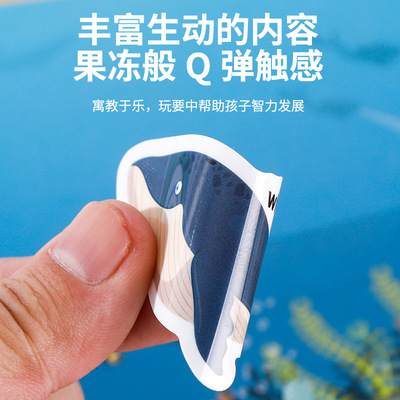 恐龙海底动物交通星球英语果冻贴