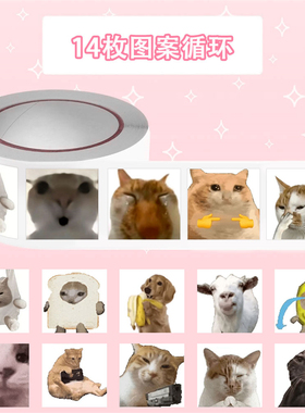 哈基米meme可爱抽象卷卷贴纸ins高颜值小猫表情网络热梗手账贴纸