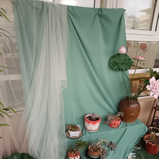 面料布料摄影视背景婚庆桌布台生日艺术品毕业设计布展画装饰豆绿