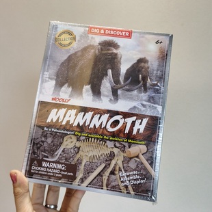 外贸出口 男女孩手工DIY考古挖掘玩具猛犸恐龙盲盒儿童宝宝礼物