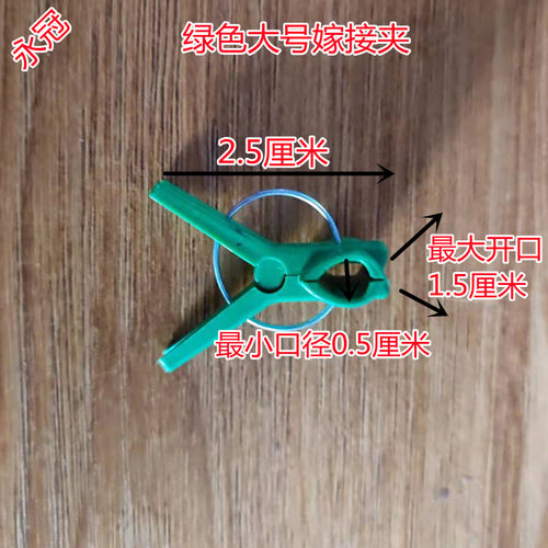 蟹爪兰嫁接夹子苗专用