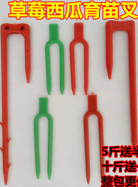 草莓育苗叉子甜瓜固定生根大棚