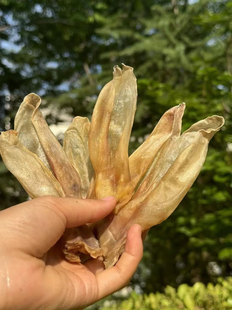 【馋狗馋猫】真骨磨牙牛膝盖骨牛耳朵鸭脖子兔排猪鼻子耐咬磨牙