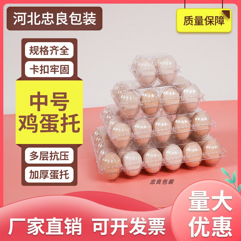 一次性塑料鸡蛋托特厚透明带扣10