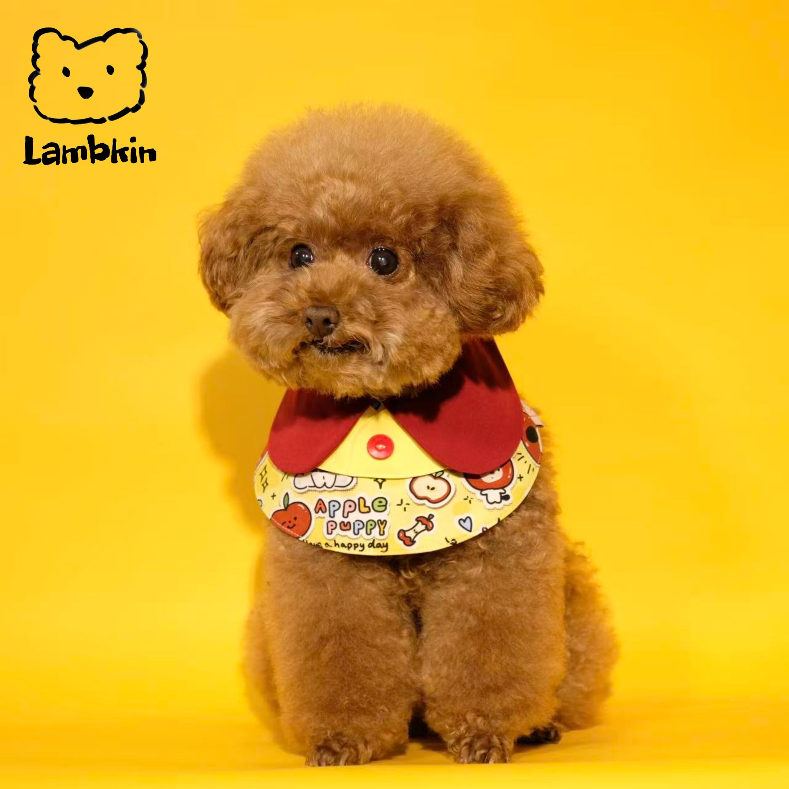 怪柚Lambkin苹果狗狗口水巾
