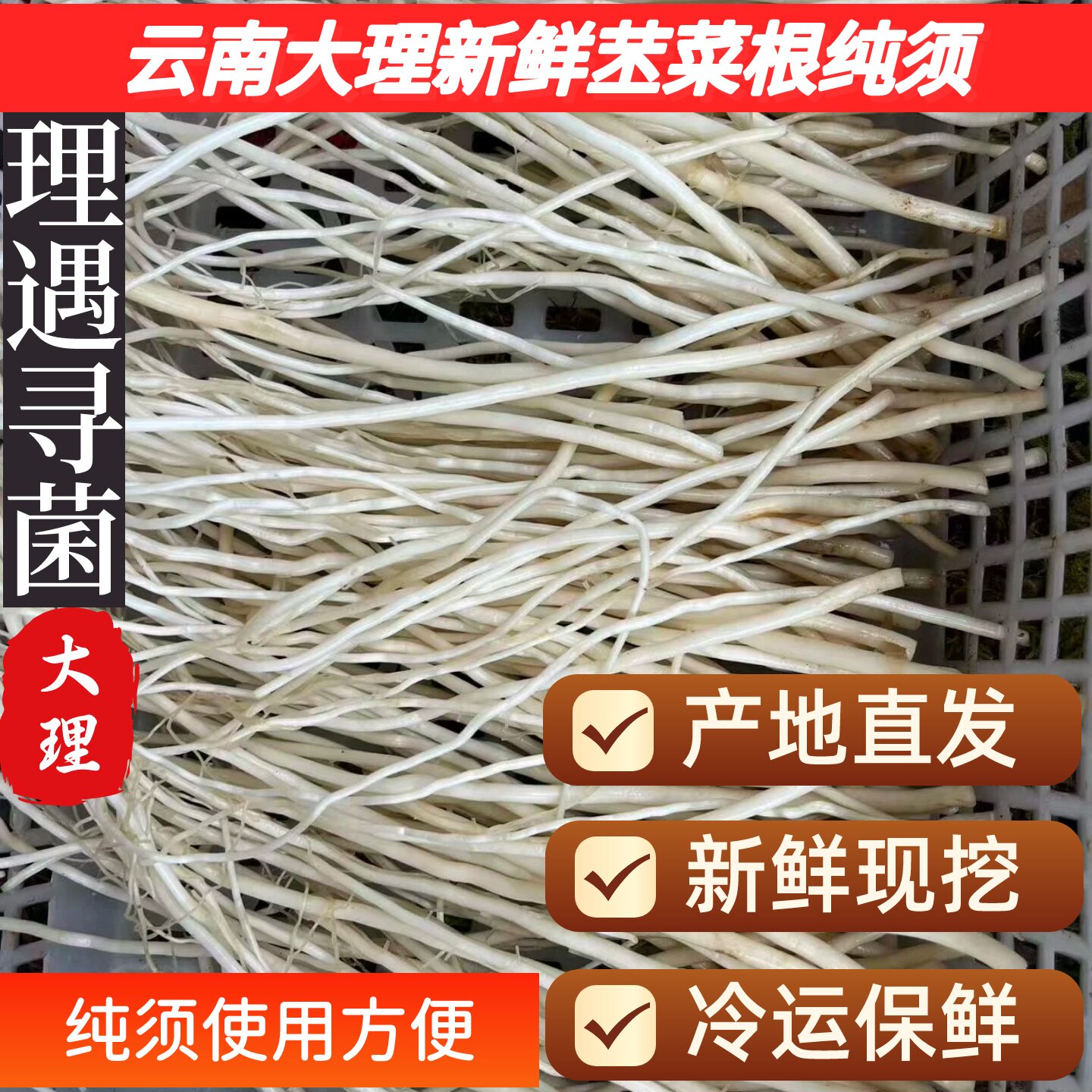 云南大理苤菜根新鲜陆运中段纯须根撇菜根佤味鸡脚拌料8斤可腌制