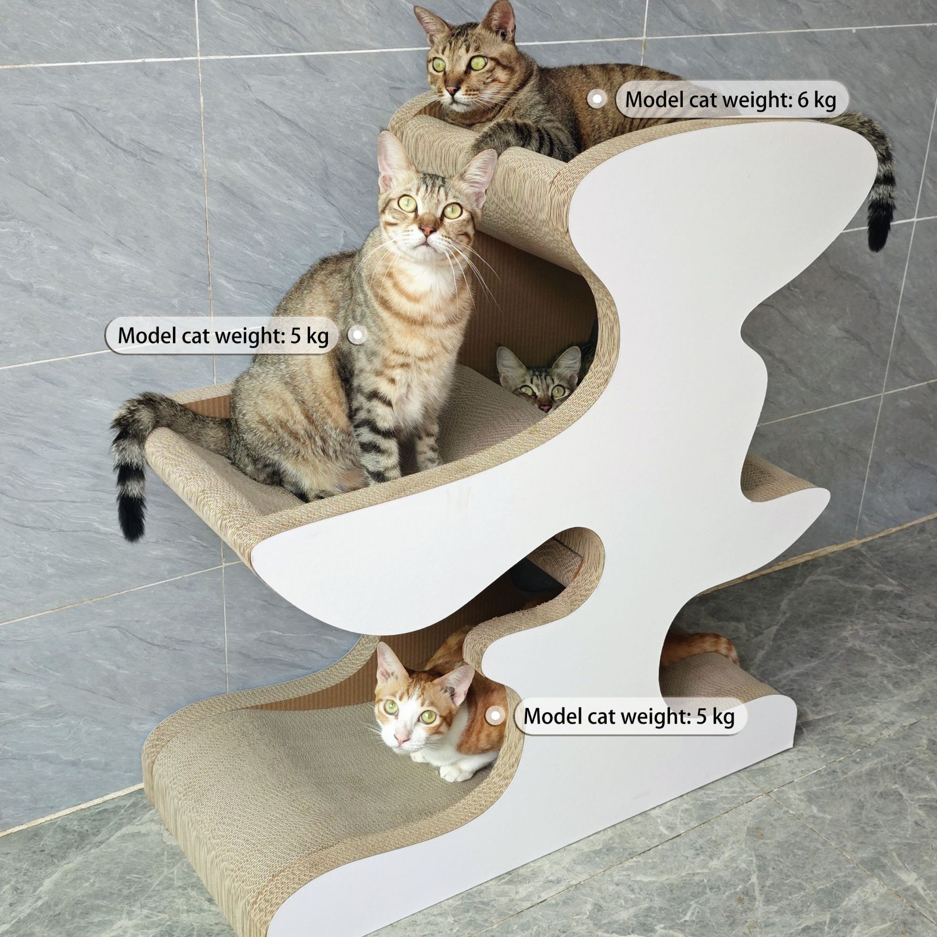 icle工厂现货特加强BB，稳一体