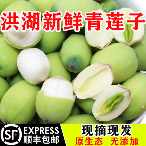 洪湖新鲜莲子米不带蓬现摘现剥青莲蓬米即食水果莲子米顺丰包邮