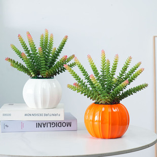 办公室桌面绿植迷你工位小盆栽仿真永生室内盆景植物客厅摆件装饰