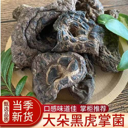 云南野生黑虎掌菌干货野生菌