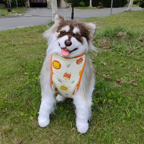 空气棉四季保暖狗狗肚兜大中型犬