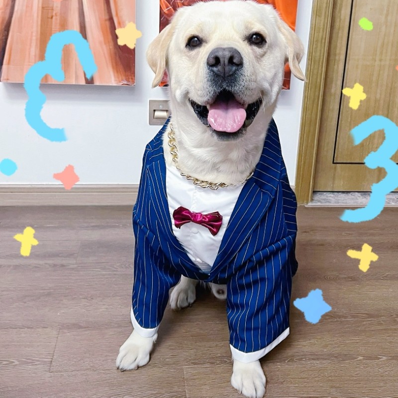 狗狗衣服西装礼服结婚宠物用品