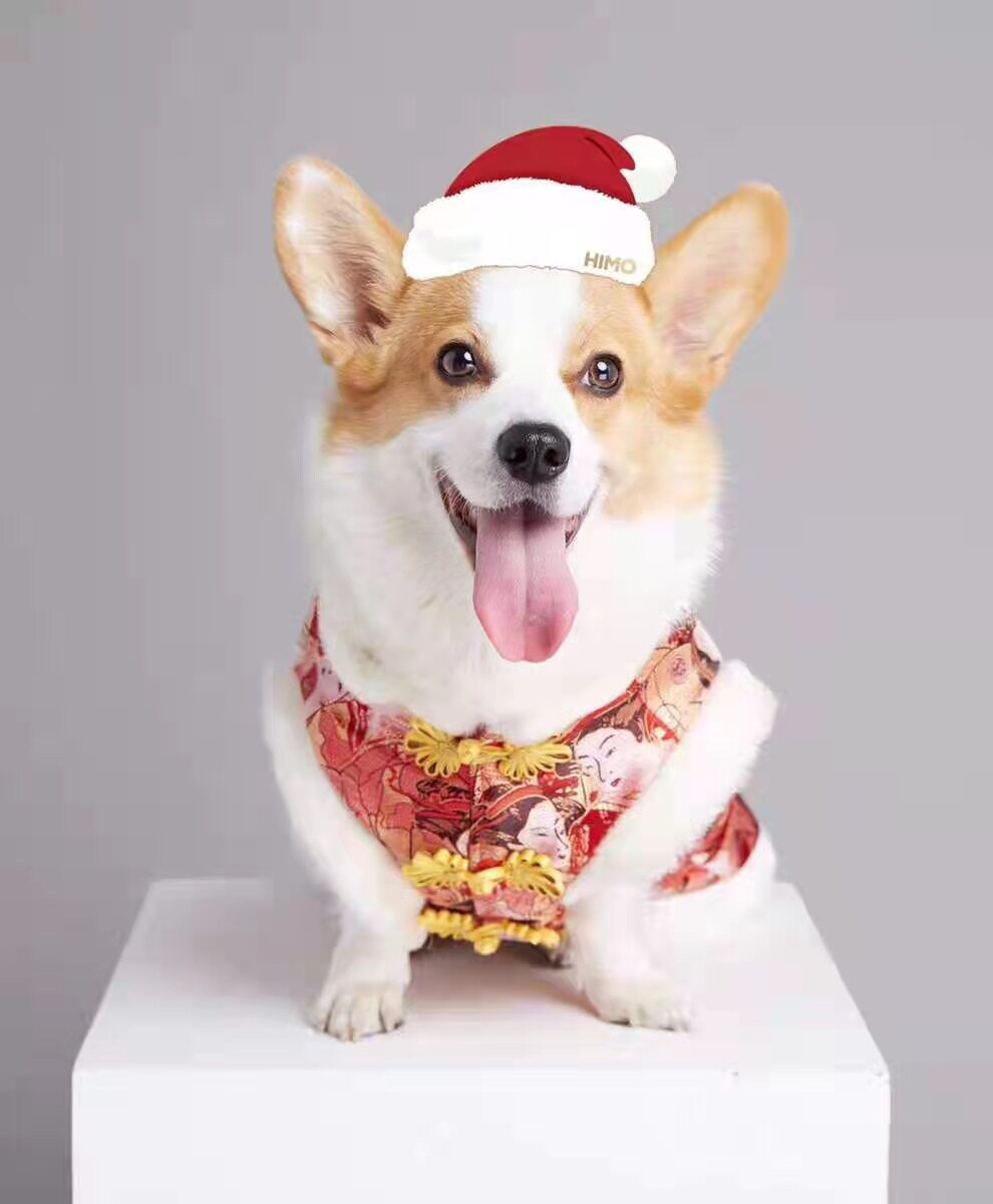狗背心狗春泰阁锦缎唐装红色加厚