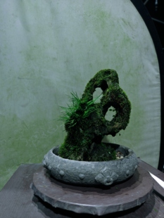 吴定石附虎须菖蒲铁线蕨高25长13厚9不含盆