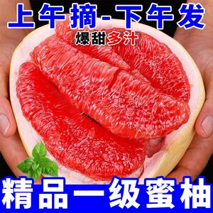 柚子正宗平和琯溪蜜柚红心柚子三红肉现摘漳州当季新鲜水果红柚