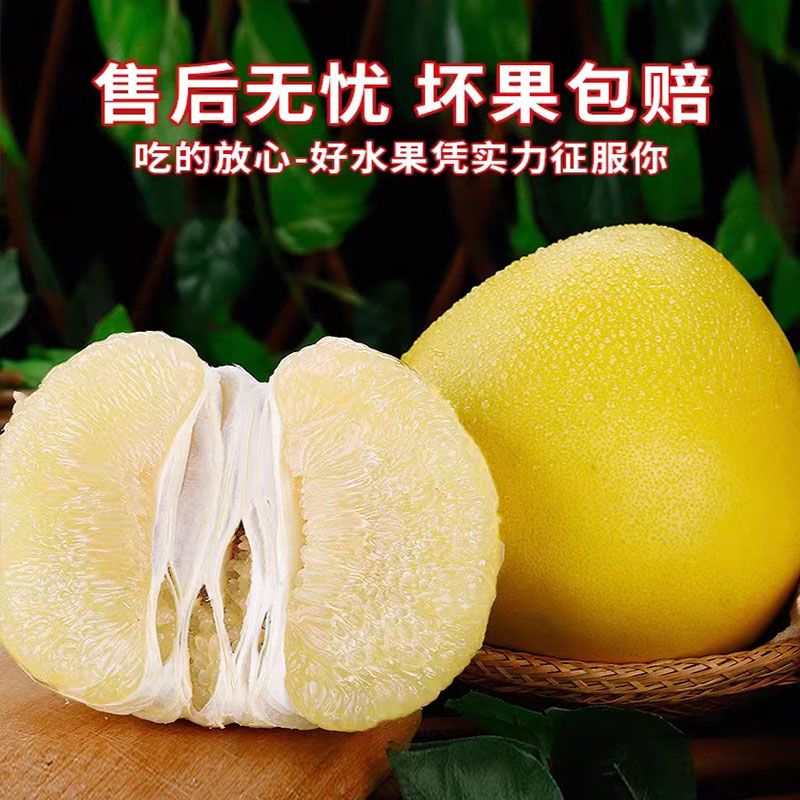 正宗福建平和琯溪蜜柚白心柚子新鲜水果当季包邮孕妇水果白肉蜜柚
