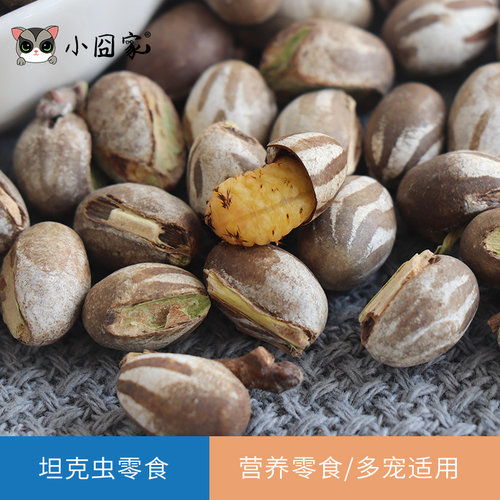 蜜袋鼯零食坦克虫幼虫洋辣子蜜袋鼬松鼠睡鼠刺猬仓鼠花枝鼠飞鼠