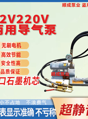 新款12伏220伏两用液化气导气泵丙烷导气泵显示表高压导气泵