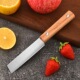 高硬度不锈钢平头水果刀瓜果刀锋利家用木柄水果刀户外平头小刀