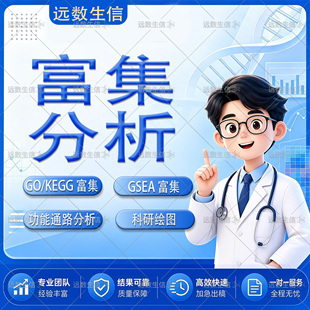 转录组富集分析 GO KEGG GSEA 功能通路富集 生信绘图服务