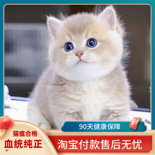 90天健康保障淘宝付款全国包邮
