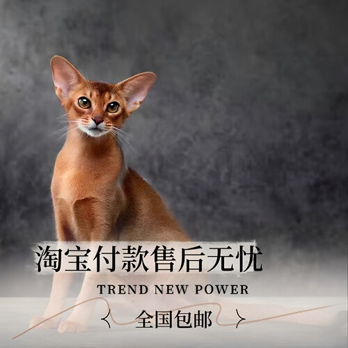 90天健康保障淘宝付款全国包邮
