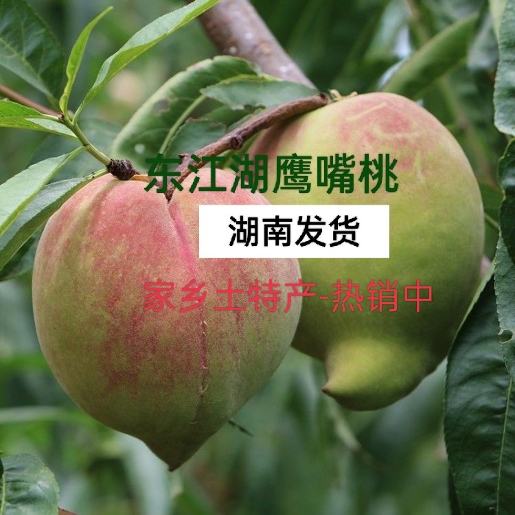 【郴州市热销中】湖南郴州资兴市新鲜应季东江湖鹰嘴桃整箱包邮