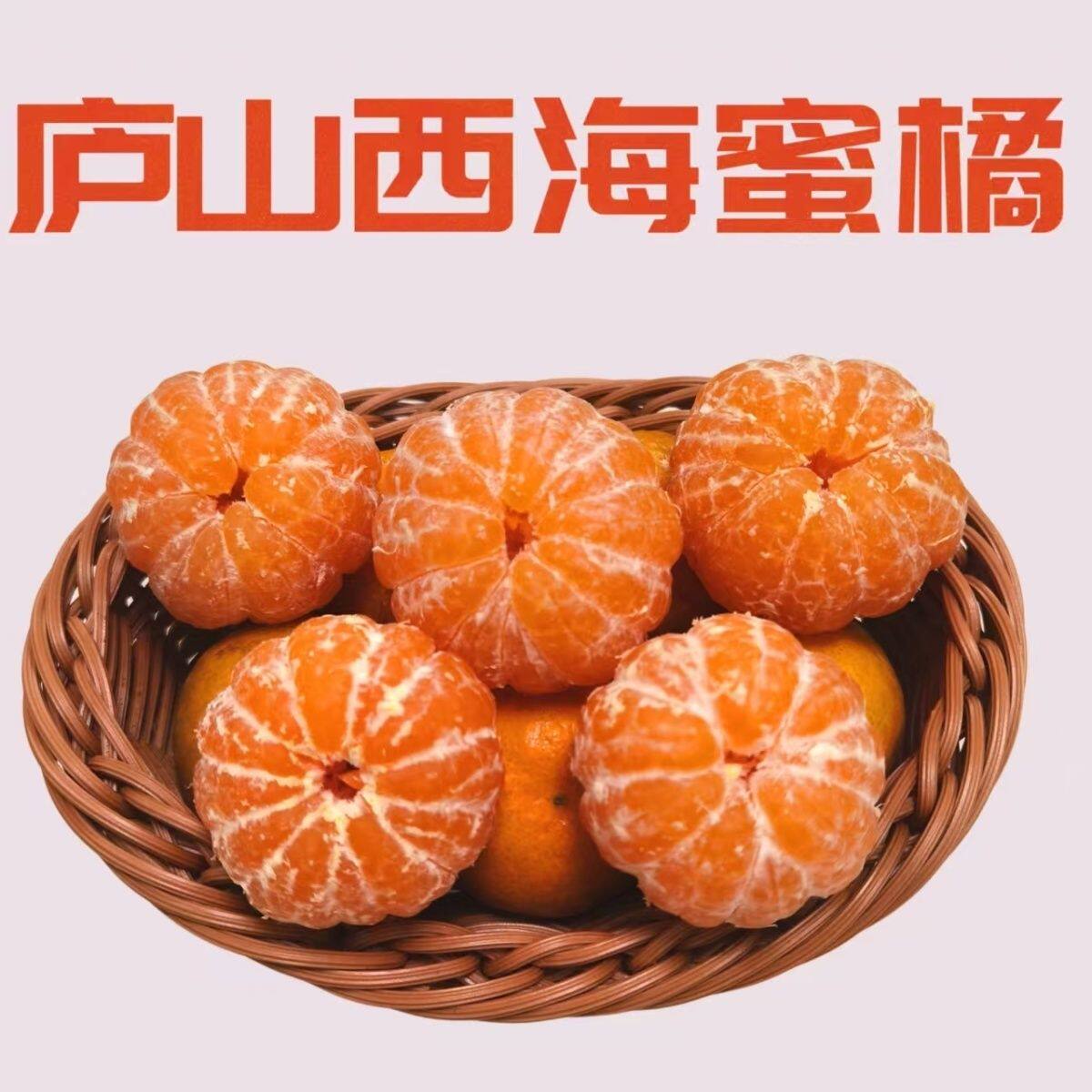 江西九江庐山西海蜜桔正宗永修易家河高山老树蜜橘现摘现发自然熟