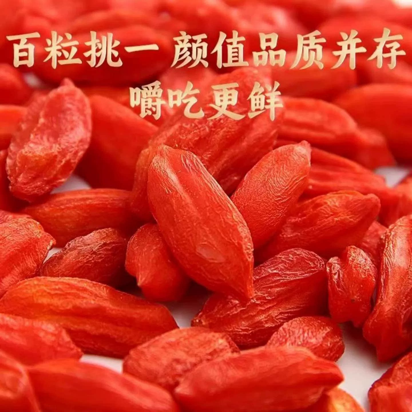 锁鲜枸杞冻干直接吃中寧枸杞特优级大颗粒头茬正宗构杞100g罐