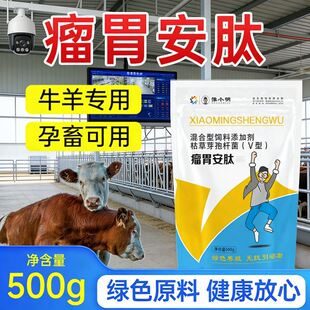 牛羊用瘤胃安肽 正牌 养羊用瘤胃安肽 瘤胃安肽 小明瘤胃安肽