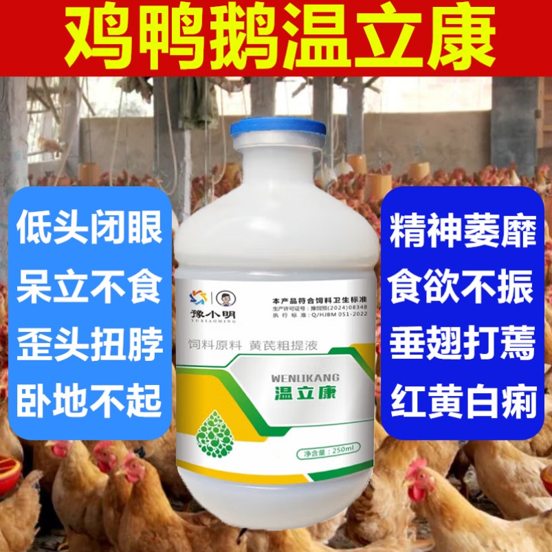 温立康正品水绿便通用饲料禽用呆立不食不吃食鸽子常备鸡鸭鹅用