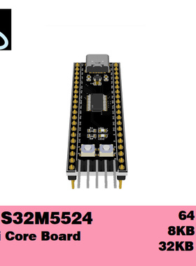 【电机控制器】中国深圳中微CMS32M5524最小核心板