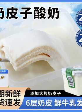 牧少主内蒙古鲜奶皮子酸奶六倍奶皮子酸奶plus版1000克