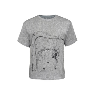 相拥短袖 羊毛混纺 垂坠感 JCAESAR 合体版 TEE 情侣印花 型 HELD