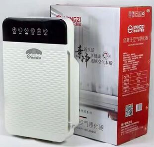 绿色家缘负氧离子空气净化器租赁快速去除室内甲醛三层滤网