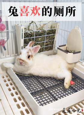 兔兔专用宠物兔子厕所大号屎盆荷兰猪天竺鼠尿盆豚鼠便盆用品大码