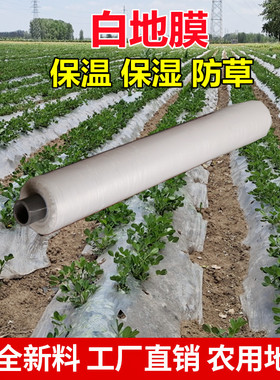 白地膜农用白膜保温保湿蔬菜大棚果园种植防草地布膜工程塑料薄膜