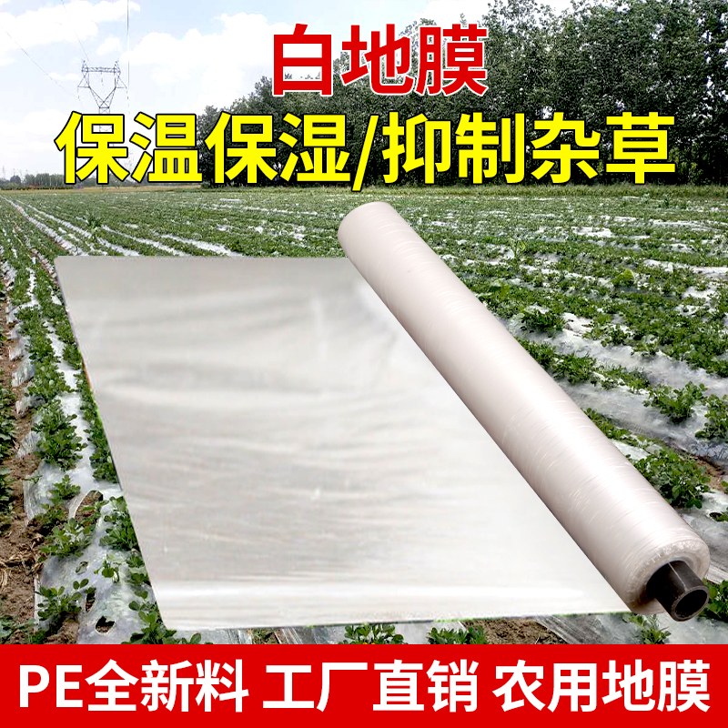 白地膜农用银黑色薄膜果树果园保温保湿蔬菜棚工程混凝土保护薄膜