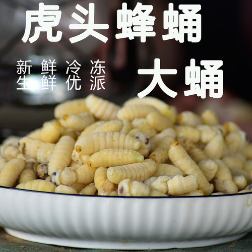 鲜冷冻散装地蜂蛹虎头蜂金官燕